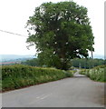 Road from Coed-Cefn to Raglan