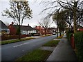 Bungalows on Reinwood Avenue