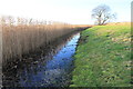 Part of the Moat at Duffus Castle