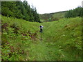 NN5629 : Ascending a forestry 'ride' towards Beinn Leabhainn by Anthony O'Neil