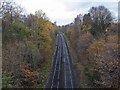 Railway line from Woodbridge Road