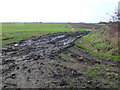 TL2192 : Muddy field entrance off Conquest Drove by Richard Humphrey
