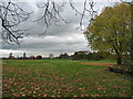 Brockwell Park (3)