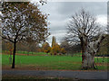 Brockwell Park (5)