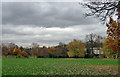 Brockwell Park (6)