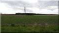 Pylon and South Park Wood