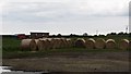 NU2201 : Round bales, Acklington by Richard Webb