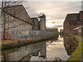 SJ8598 : Ashton Canal by David Dixon