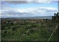 Looking north from Marsden Quarry