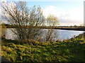 Pond east of Winmore Fold