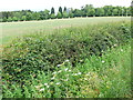 View towards Upper Billesley