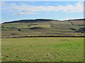 Farmland south of Wealside