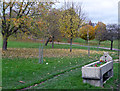 Cattle trough, Brockwell Park