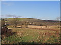 Farmland at Old Dailly