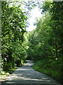 The lane from Abermeurig to Llwyn-y-groes, Ceredigion