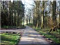 Woodland Road near Read Hall