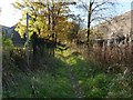 Path to the Dumbuck Hotel