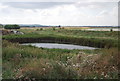 Pond, Upper Raypitts Farm