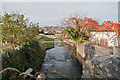 Looking down a stream from Mill Road