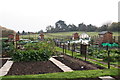 Keelby Allotment Society