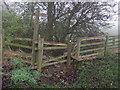 Coast to Coast footpath (off the A167)