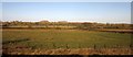 Fields near Chapelwick Farm