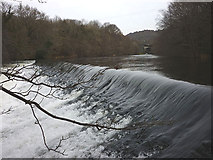 SD3584 : Weir on the River Leven between Backbarrow and Haverthwaite by Karl and Ali