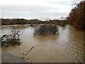 Newbold-River Avon