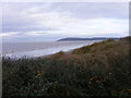 Brean Dunes