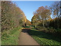 Cycle Route in Bestwood Country Park