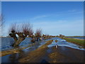 TL2798 : Flood water on East Delph, Whittlesey - The Nene Washes by Richard Humphrey