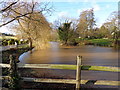 The River Poulter viewed  from Old Mill Lane