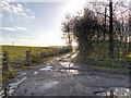 Track to Cloughend Farm