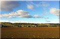 Fields near the railway line