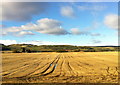 Fields near the railway line