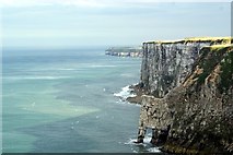 TA2073 : Bempton cliffs by Ian Smith