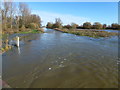TL2798 : Morton's Leam flooding onto Whittlesey Wash - The Nene Washes by Richard Humphrey