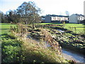 Brook meander