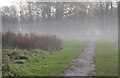 TQ3299 : Through the Mist, Whitewebbs Park, Enfield by Christine Matthews