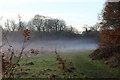 TQ3298 : Mist Rising in Whitewebbs Park, Enfield by Christine Matthews