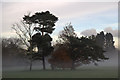 Mist Rising in Whitewebbs Park, Enfield