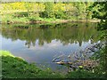 River Tay, Cluny