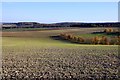 View across the fields