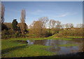 Flooded field near Nailsea Court