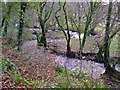 Meander in Afon Duad: Pont Baldwyn, Nevern