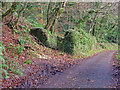 Ruin: Pont Baldwyn, Nevern