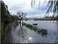 Flooding along the riverfront at Strand-on-the-Green