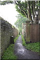 Looking along Pigeonwell Lonning from North Grove House