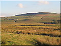 Rough pastures north of Longsyke