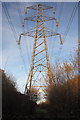 Electricity Pylon in Green Lane Wood